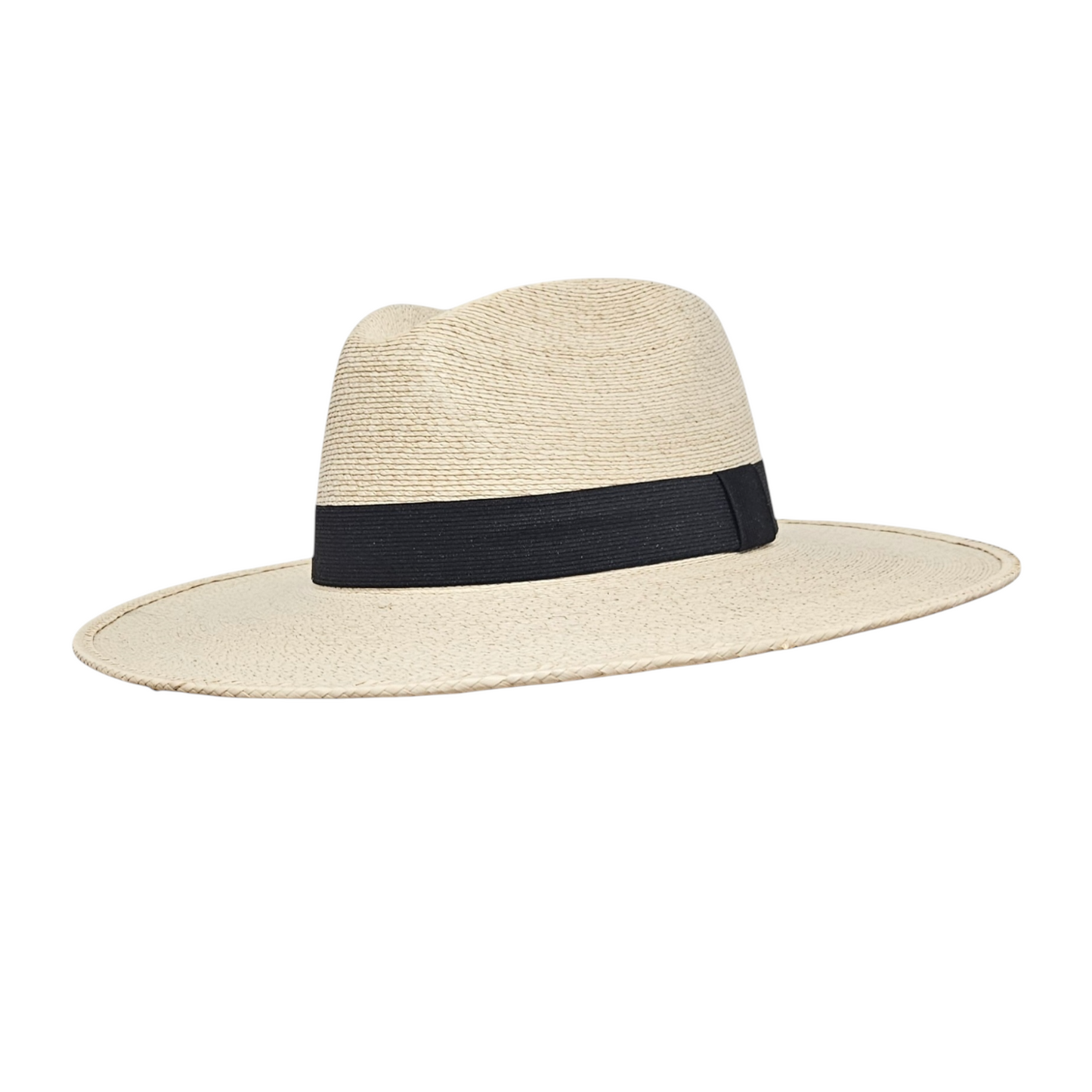 Drifter Natural - Fine White Palm