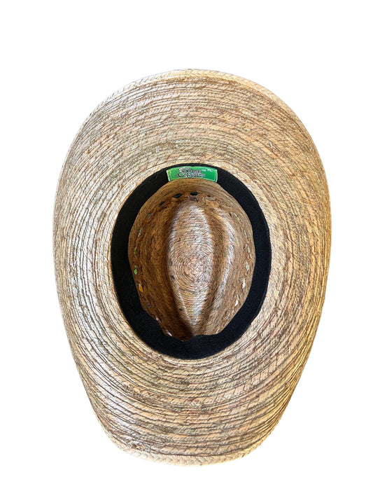 Winslow Brown - Palm